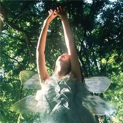 我们与驻在先生的700日战争